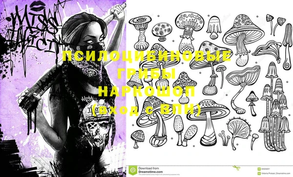 мяу мяу мука Усинск